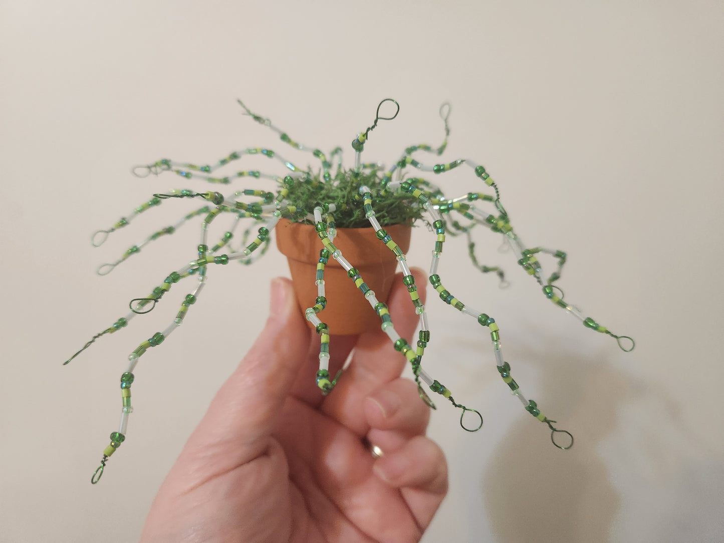 Beaded Plant: Spider Plant Inspired